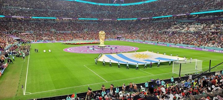 FIFA主席因凡蒂诺飞行近10万公里，足以绕赤道两圈，排放超700吨二氧化碳（封面配图）